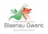 Blaenau Gwent CBC logo